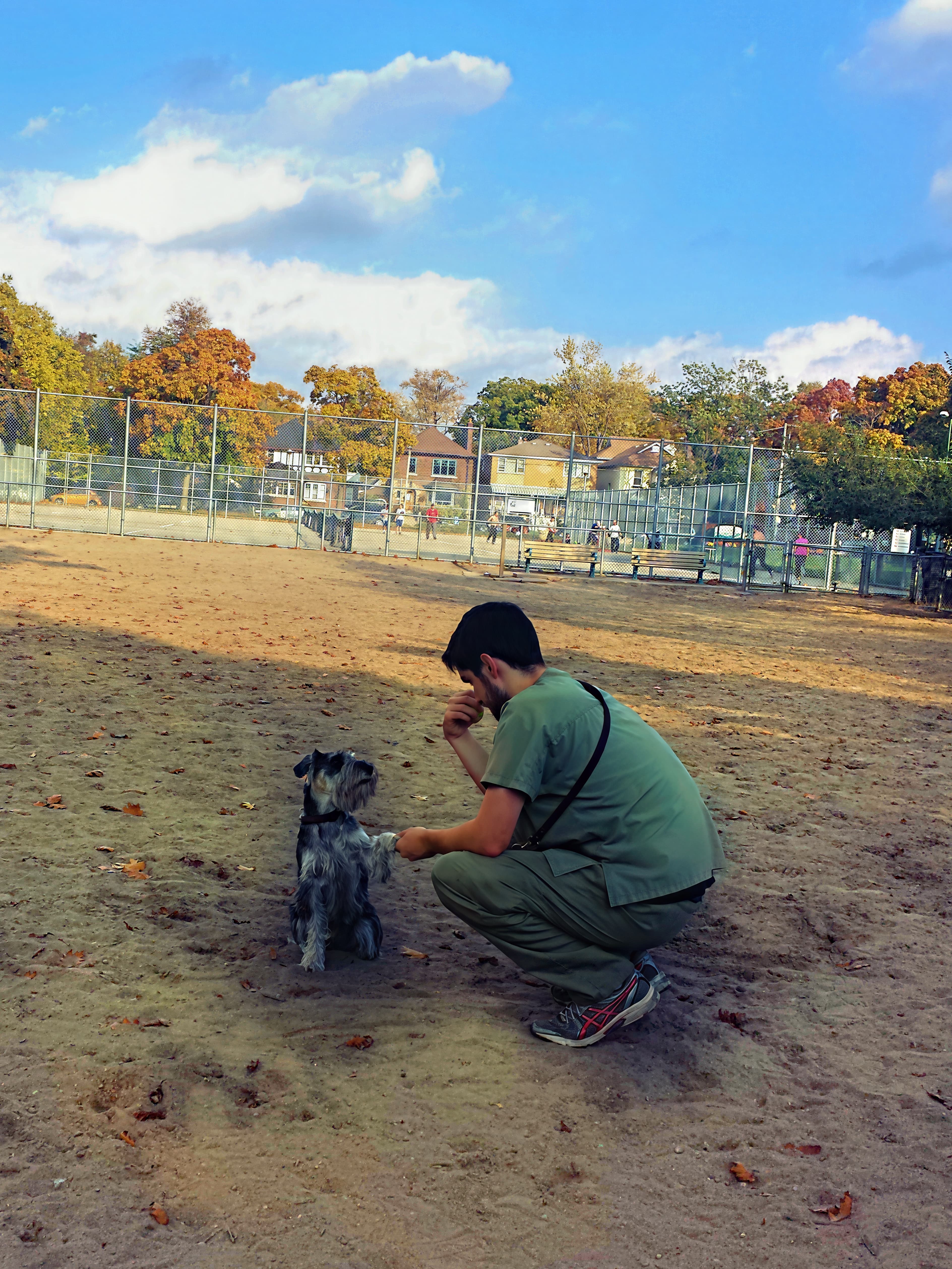 Lex, the Shelter Sense mascot