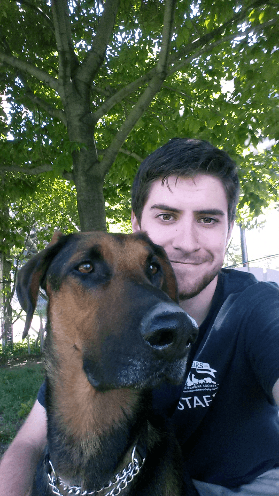 Shelter animals and daily care